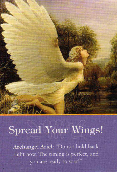 Spread Your Wings