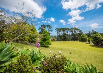 West Auckland Real Estate Photography