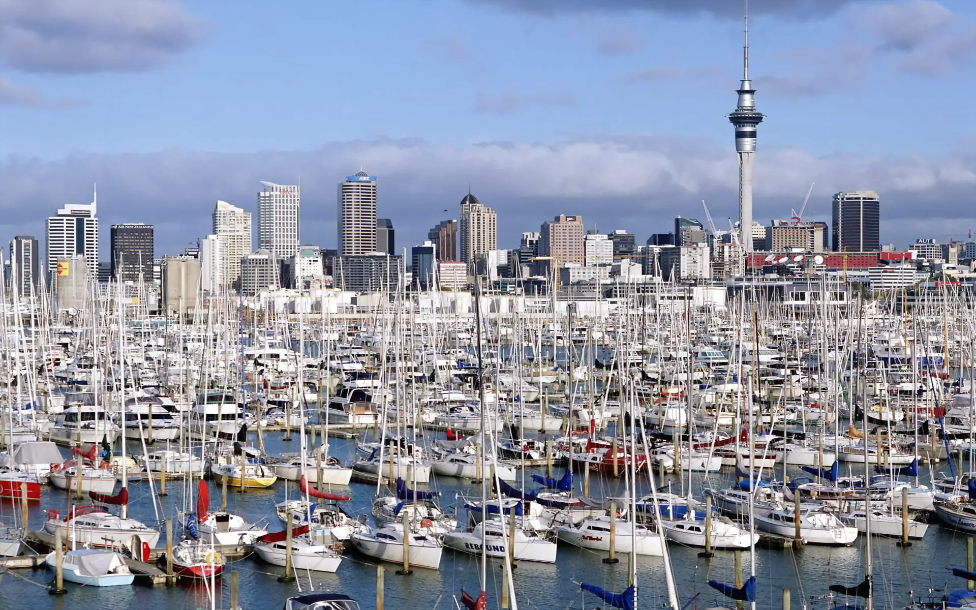 Auckland Custom Sightseeing Tour
