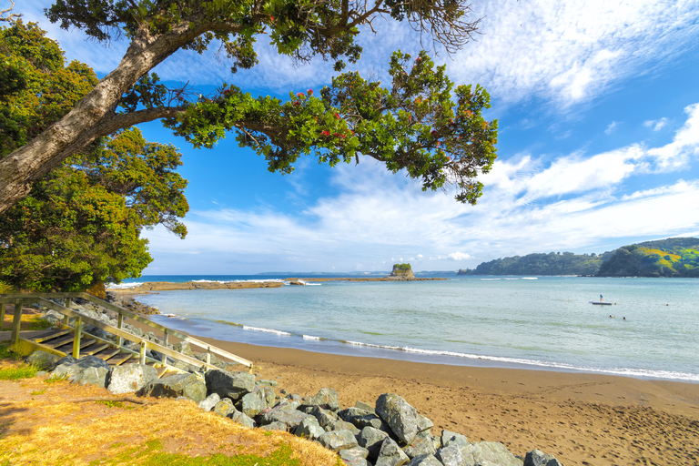 Auckland Customized Sightseeing Tours Historic Deveonport Tour