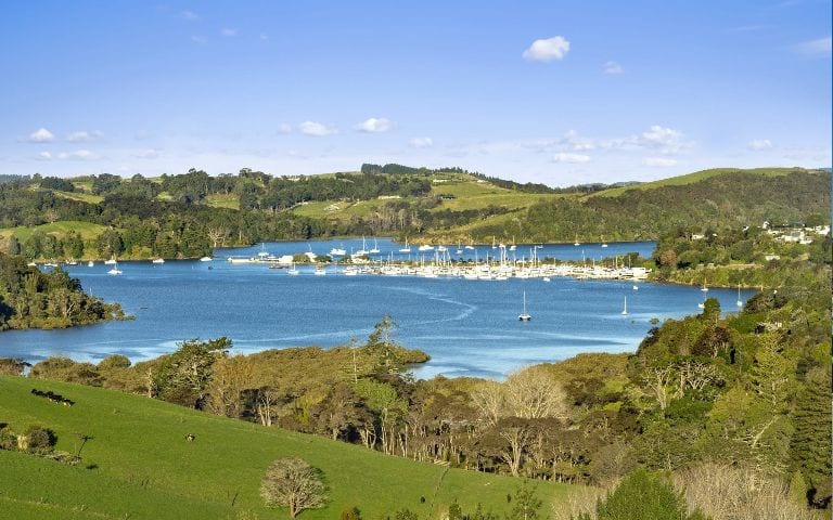 Matakana Coastline