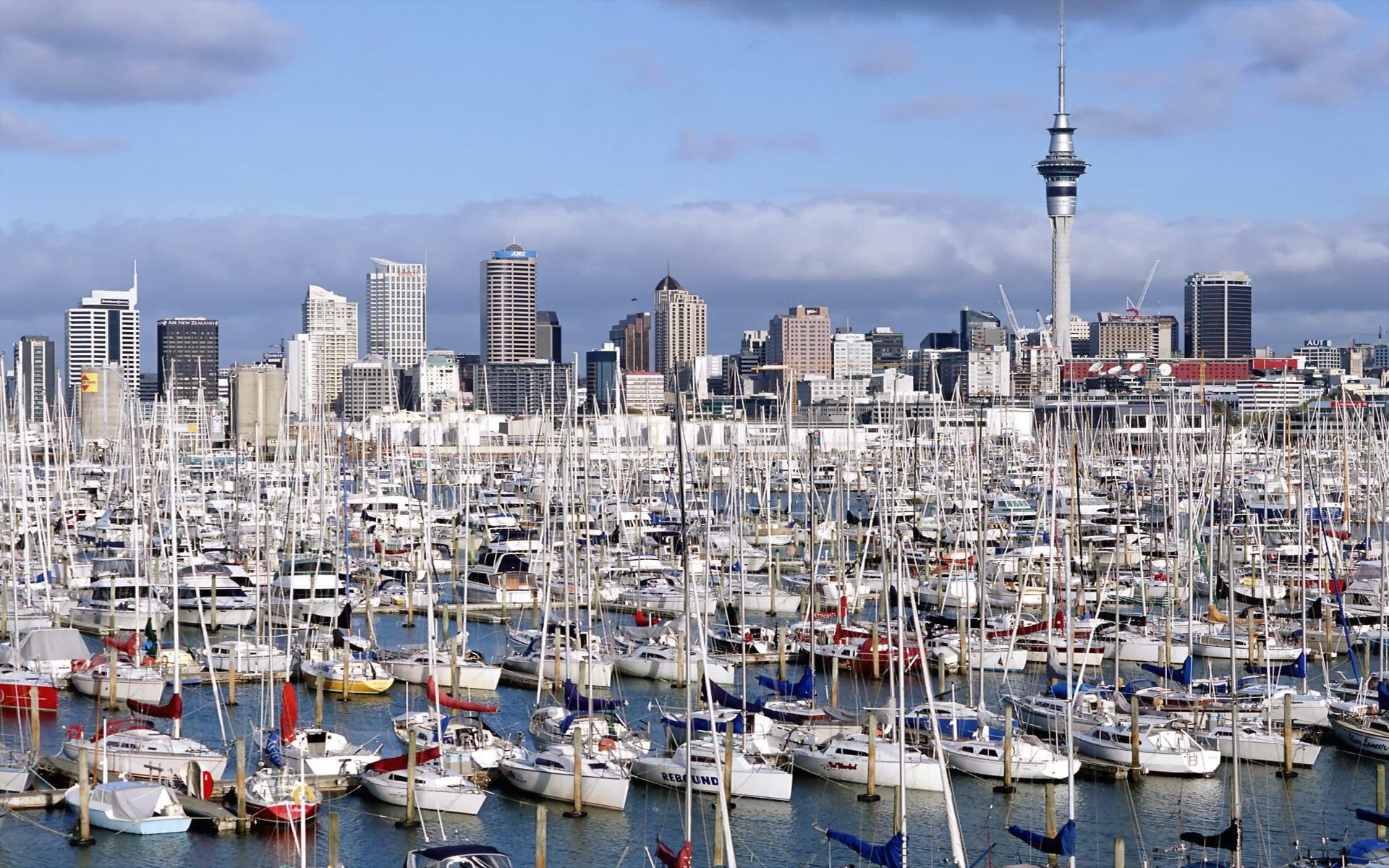 Auckland Custom Sightseeing Tour